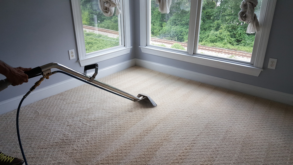 Clean Free Carpet Cleaning technician working in a customer's home