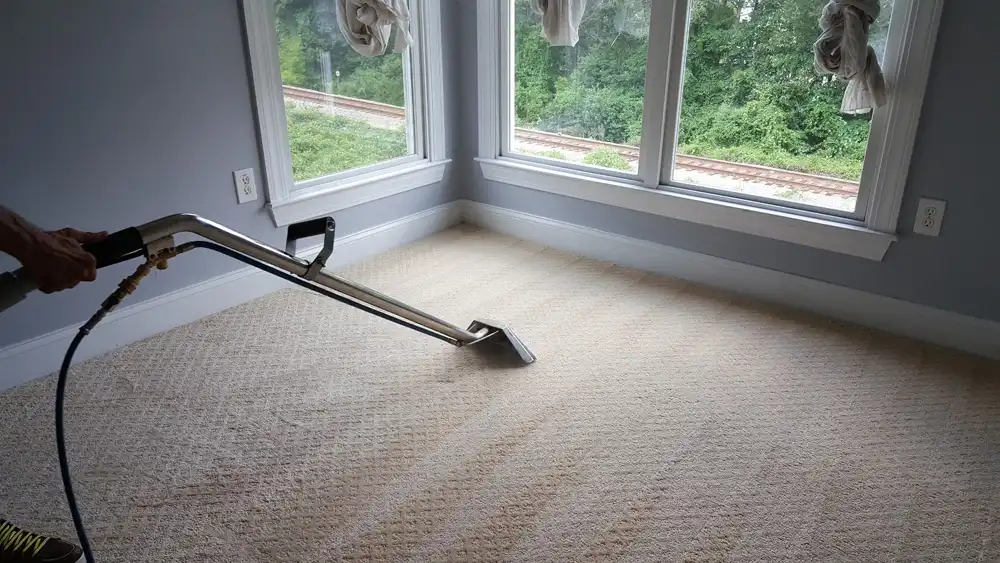 Clean Free technician steam cleaning carpet in a Charlotte, NC living room