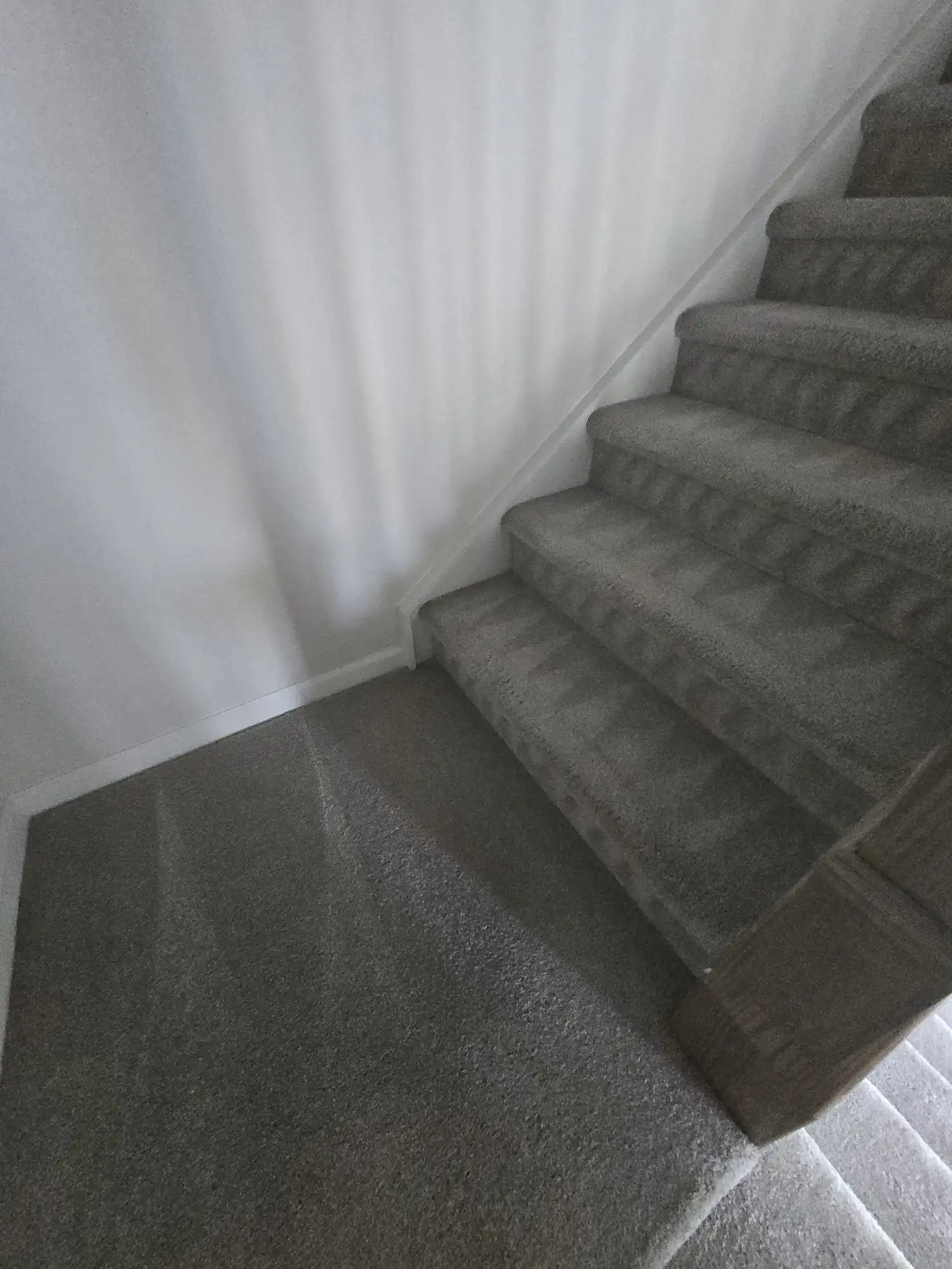 Rotovac deep steam carpet cleaning machine in use